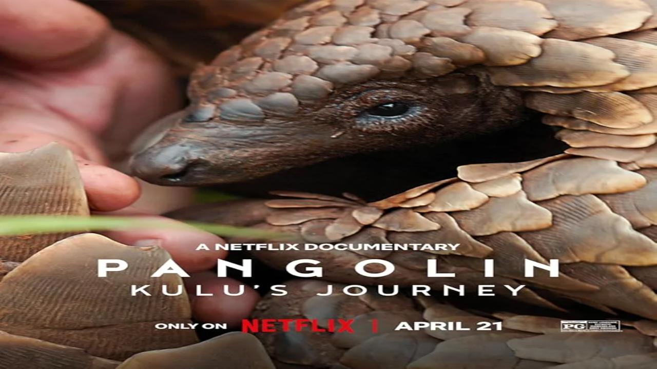فيلم Pangolin: Kulu’s Journey 2025 مترجم
