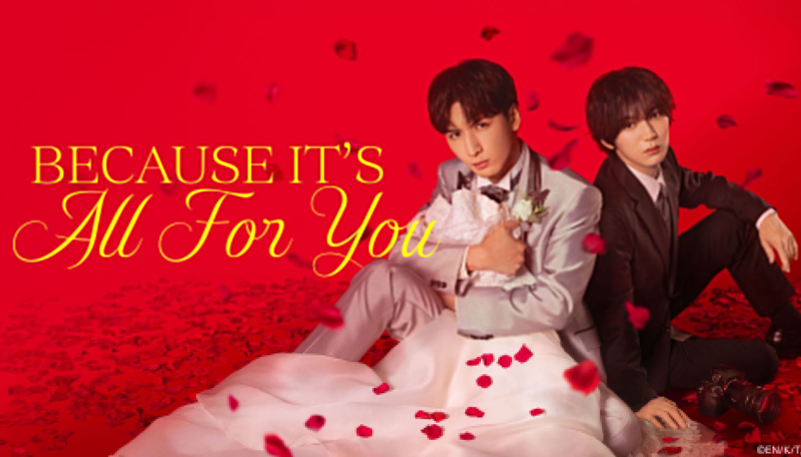 مسلسل لان كل هذا من اجلك Because It’s All For You 