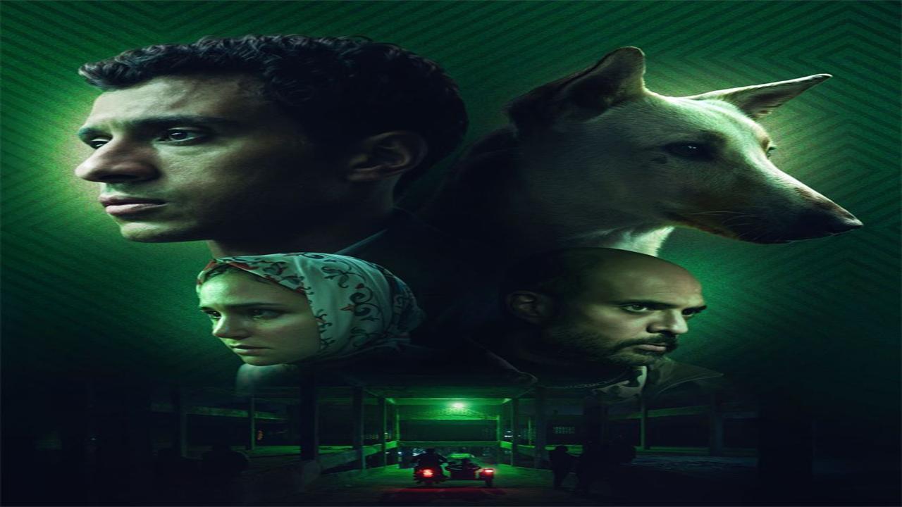 فيلم البحث عن منفذ لخروج السيد رامبو 2024